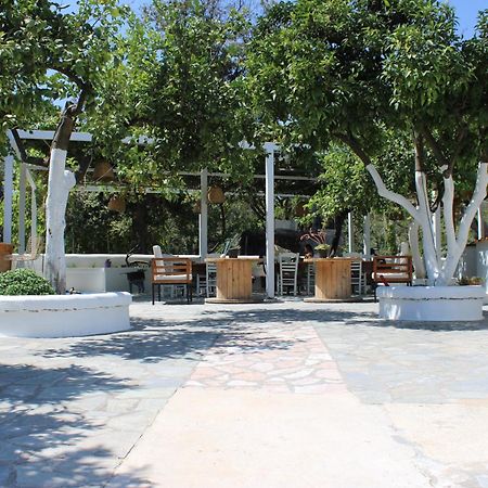 Villa Nouli Sarakiniko  Экстерьер фото